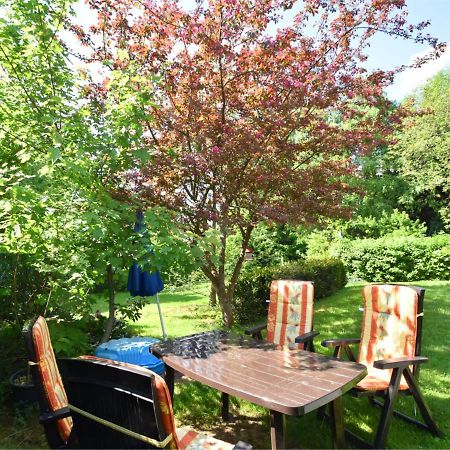 Cozy Apartment In Braunlage Near Forest Hohegeiß Rum bild