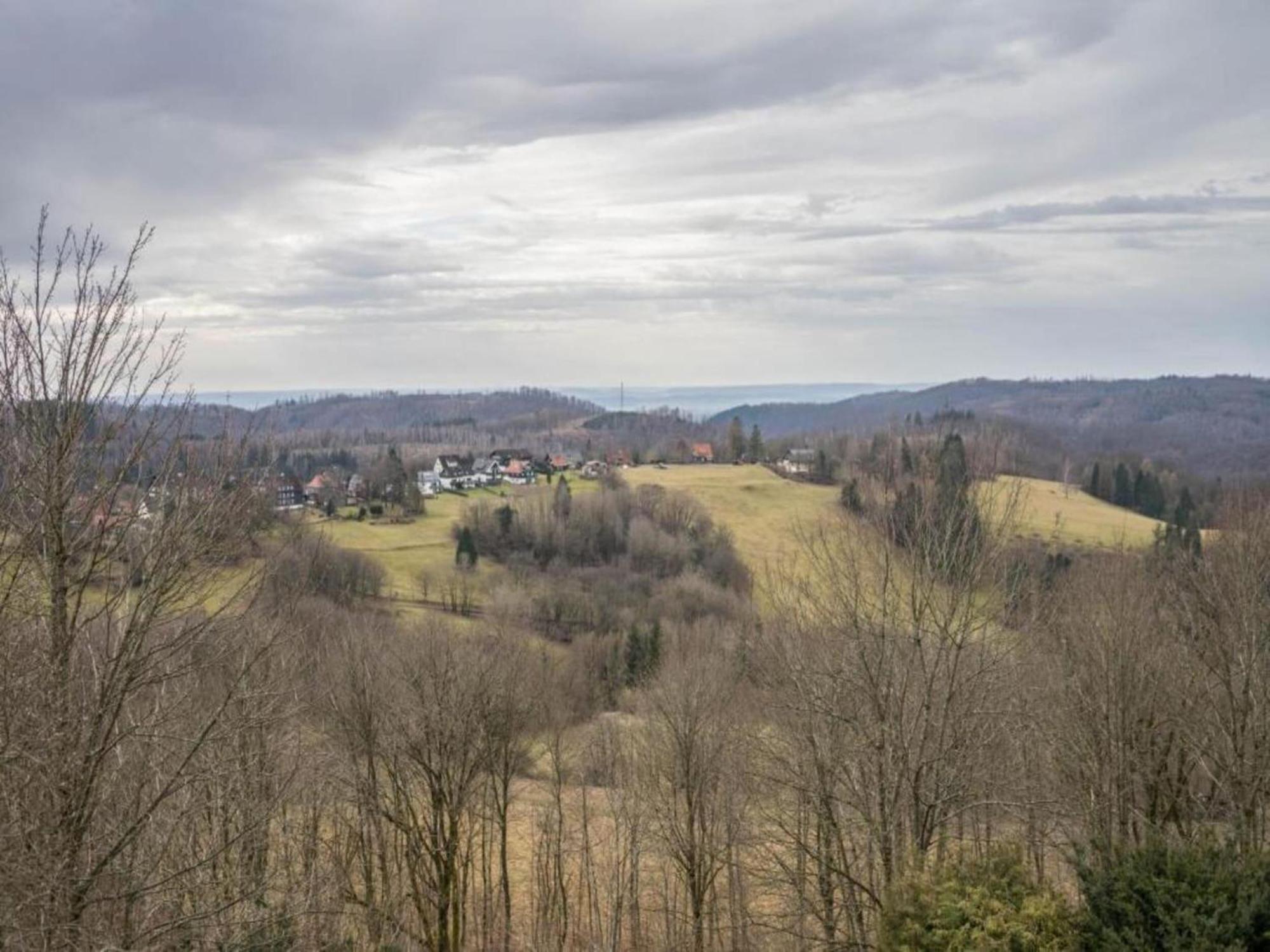 Cozy Apartment In Braunlage Near Forest Hohegeiß Exteriör bild