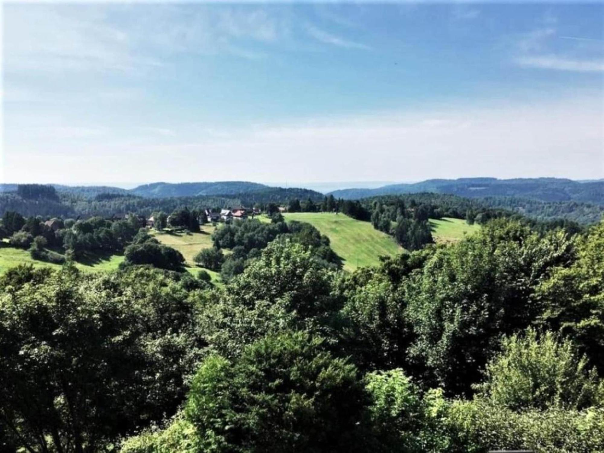 Cozy Apartment In Braunlage Near Forest Hohegeiß Exteriör bild