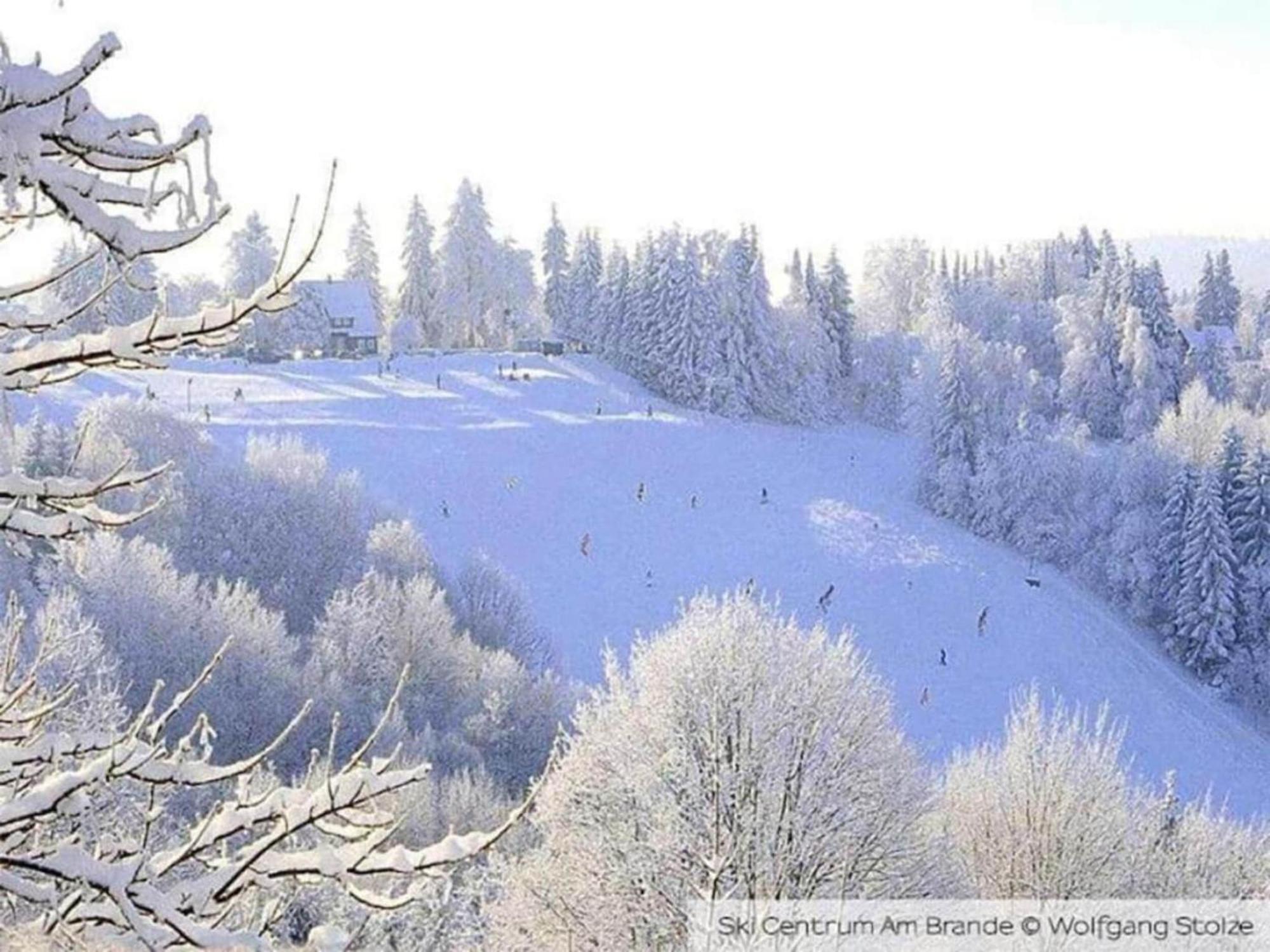 Cozy Apartment In Braunlage Near Forest Hohegeiß Exteriör bild