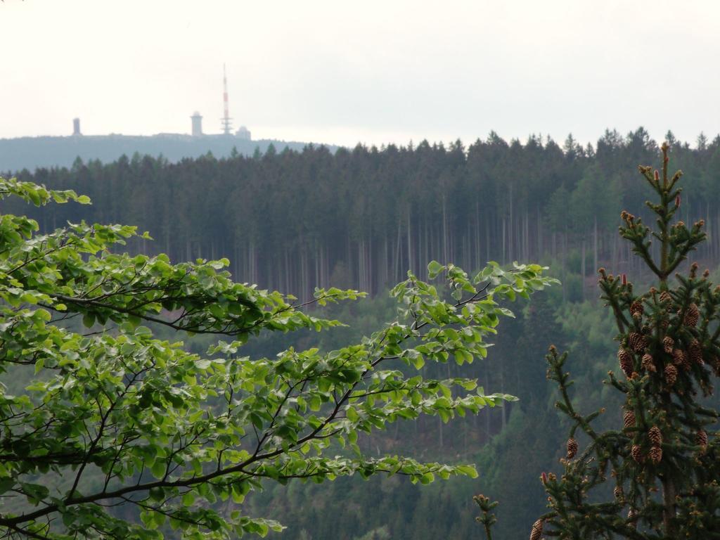 Cozy Apartment In Braunlage Near Forest Hohegeiß Exteriör bild